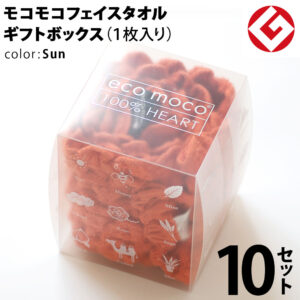 m-f1-sun-snow-box10p