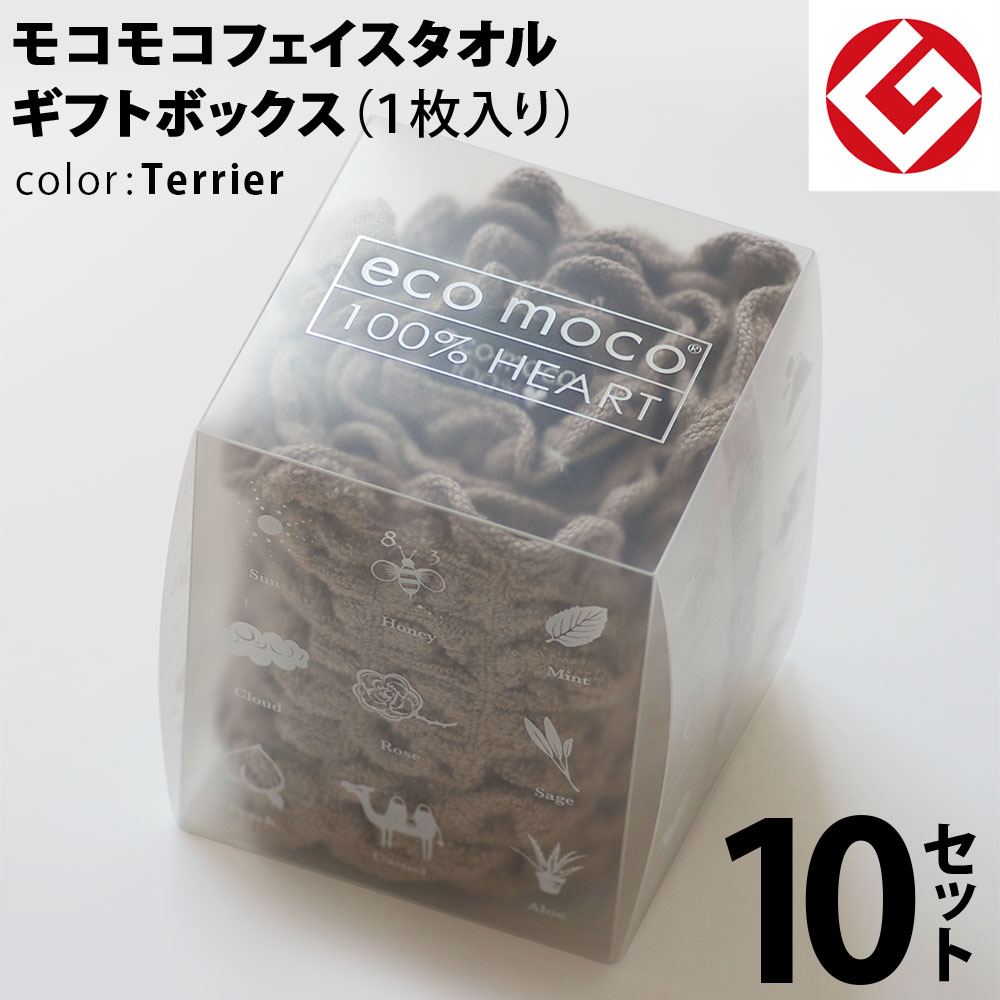 m-f1-terrier-snow-box10p