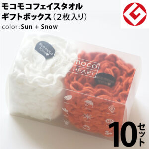 m-f2-sun-snow-box10p