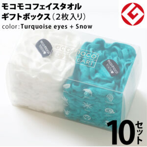 m-f2-turq-snow-box10p