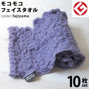 moft-fujiyama10p